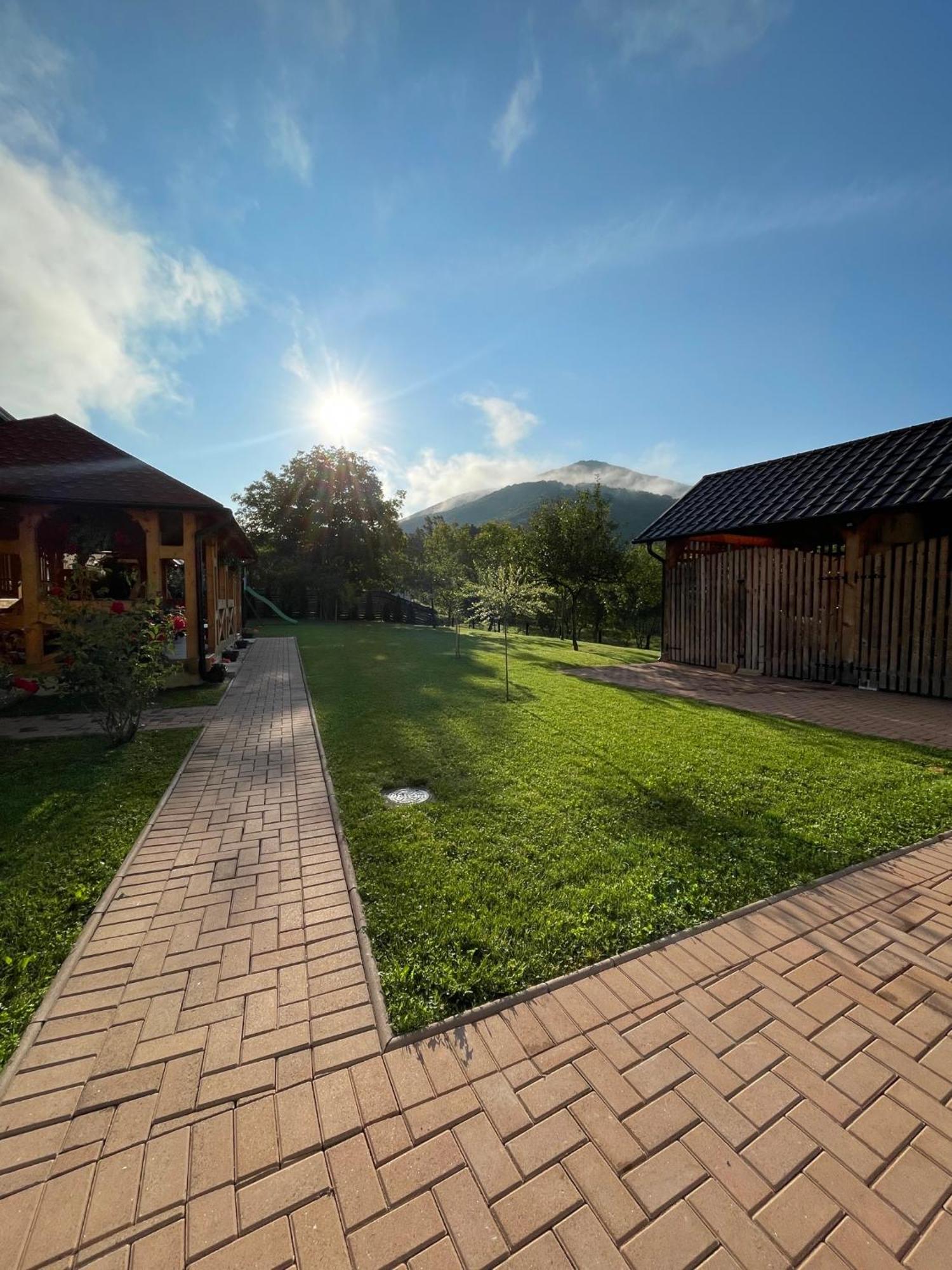 Pensiunea Valea Muntelui Bîrsana Exterior foto
